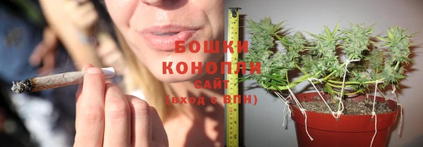 индика Арсеньев