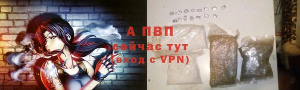 индика Арсеньев