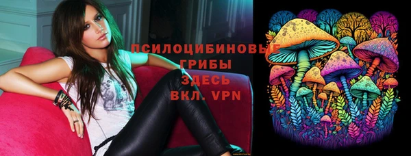 индика Арсеньев