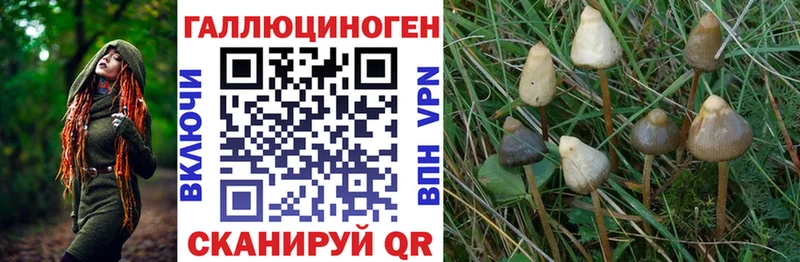 Псилоцибиновые грибы Magic Shrooms  цена наркотик  Советск 